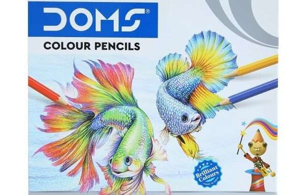 Lápis Cor Cumprido DOMS 1 x 24